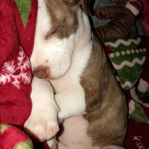 Meet your Posher, Jackie